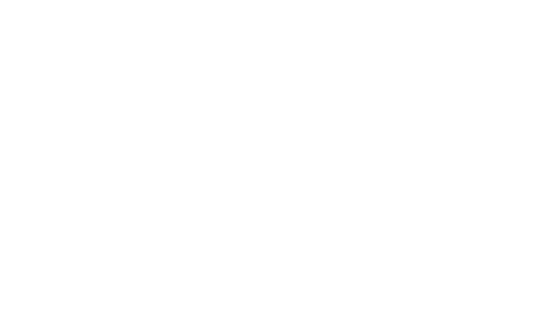 Logo fkirons